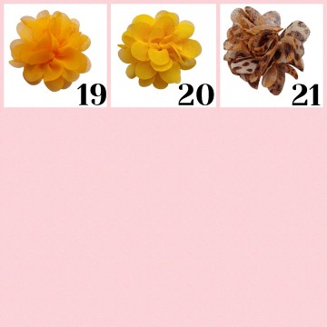 Collage2025 12 03144236